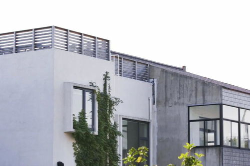 她回老家給爸媽造新式別墅,帶動整條街翻新房子