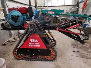 大蔥收獲機(jī)供應(yīng)與維修指南 聚焦濰坊與江蘇市場(chǎng)